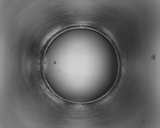 X0000116770827200912171531