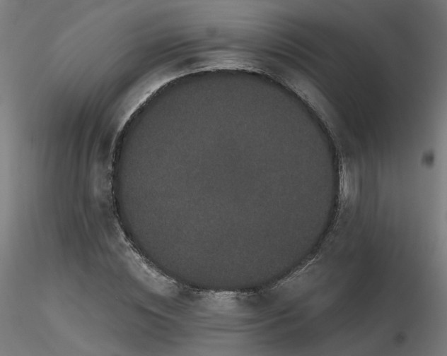 X0000116770828200912171531