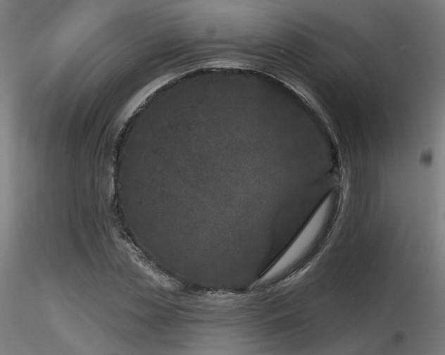 X0000116770829200912171531