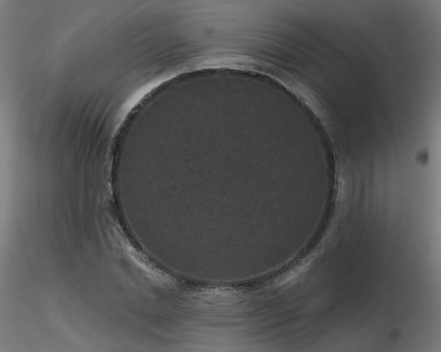 X0000116770830200912171531