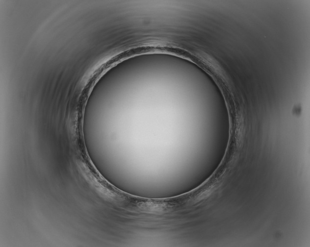 X0000116770831200912171531