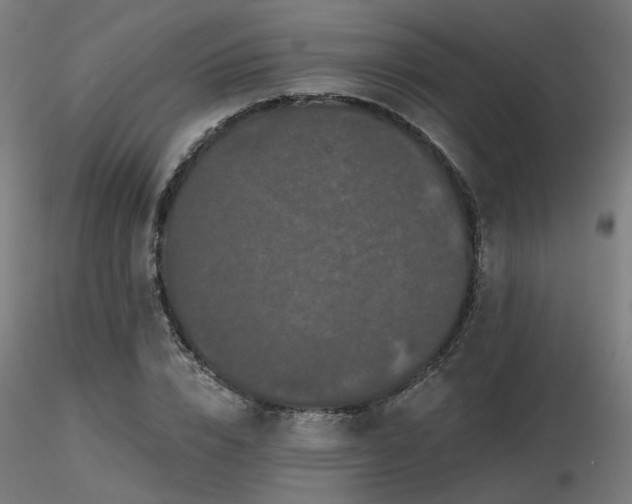 X0000116770832200912171531