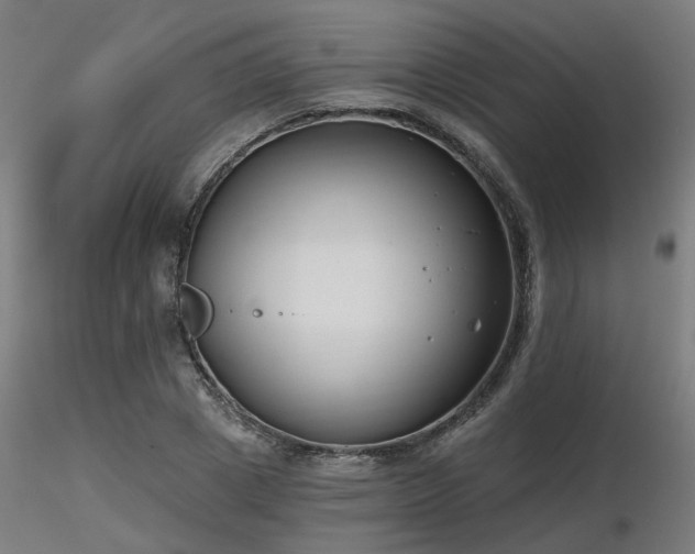 X0000116770833200912171531