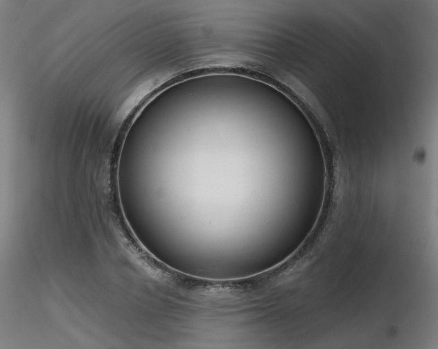 X0000116770834200912171531