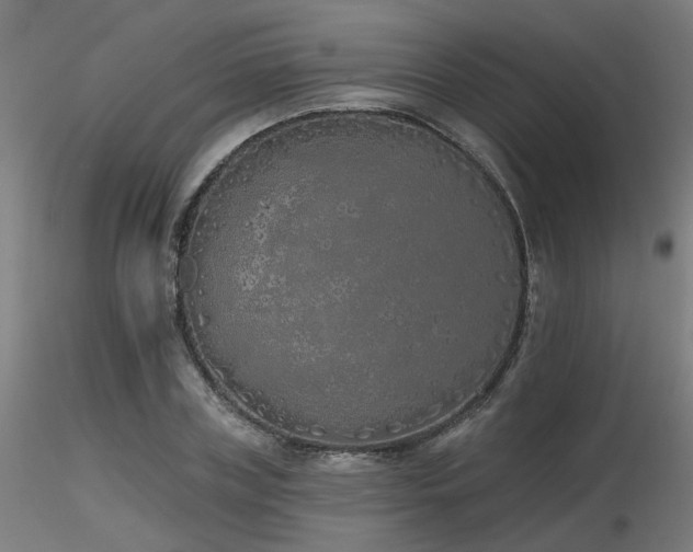 X0000116770835200912171531