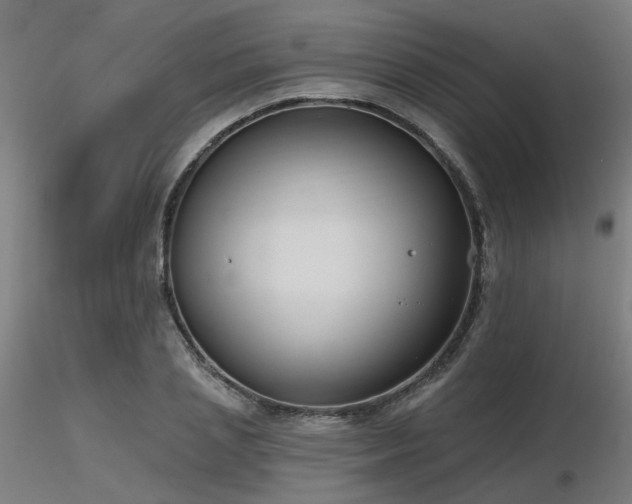X0000116770837200912171531