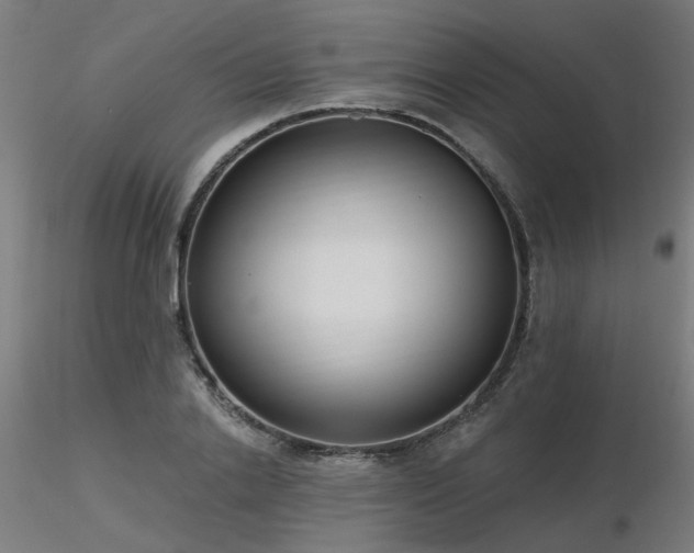 X0000116770838200912171531