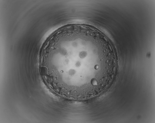 X0000116770839200912171531