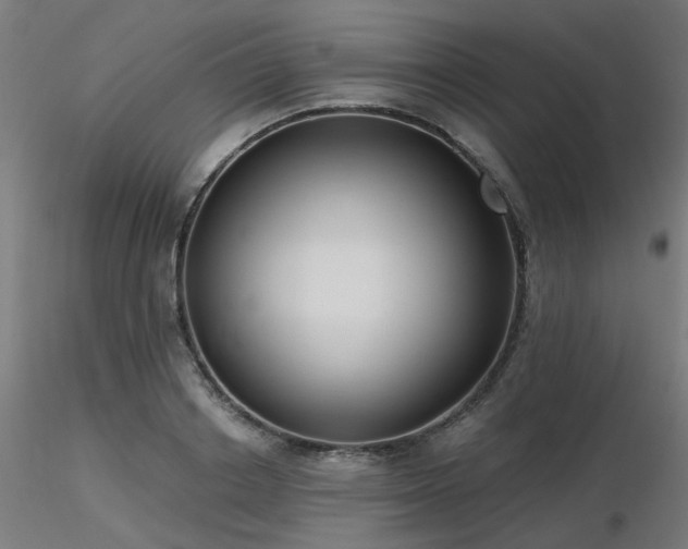 X0000116770842200912171531