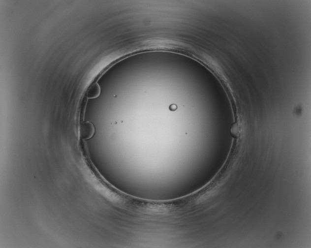X0000116770843200912171531