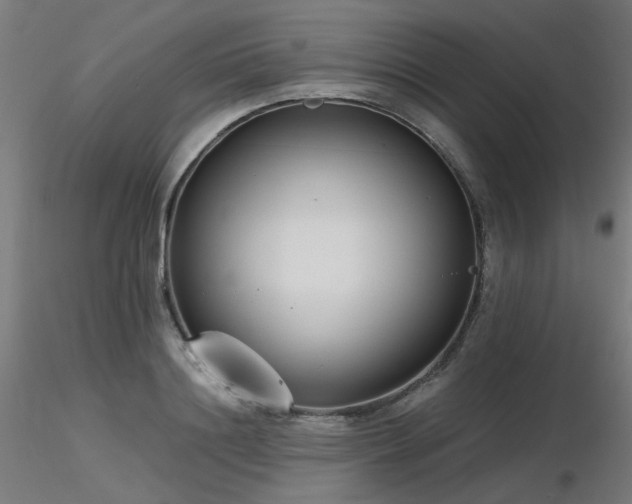 X0000116770844200912171531