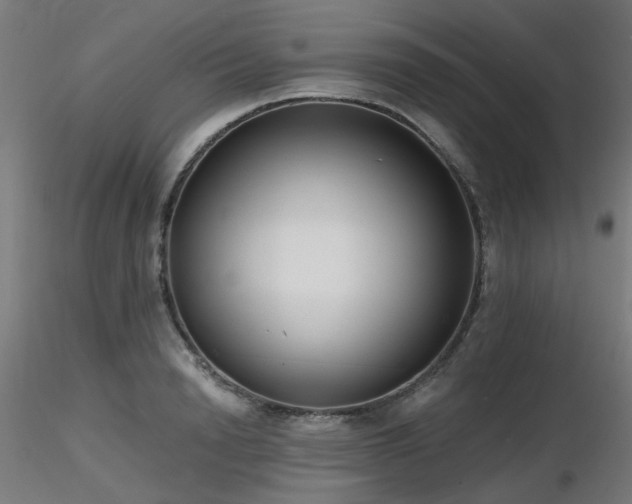 X0000116770846200912171531