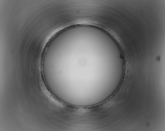 X0000116770848200912171531