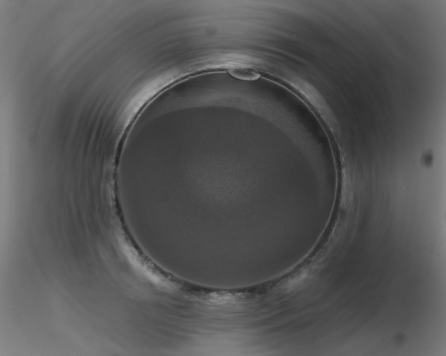 X0000116770850200912171532