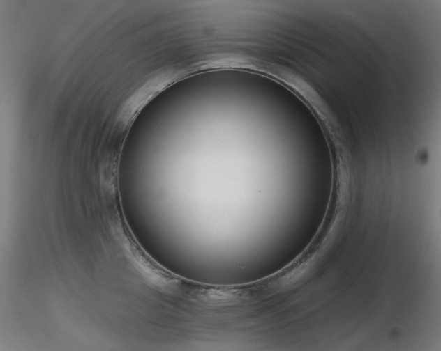 X0000116770857200912171532