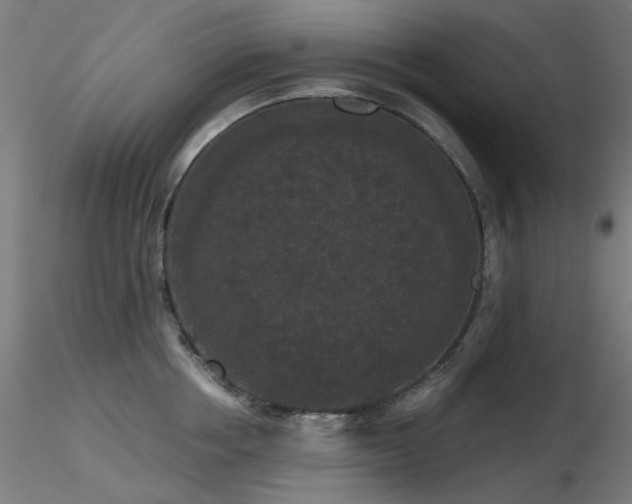 X0000116770858200912171532