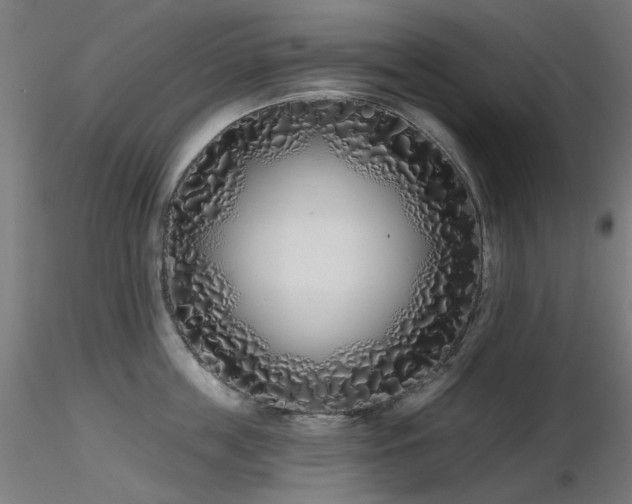 X0000116770859200912171532