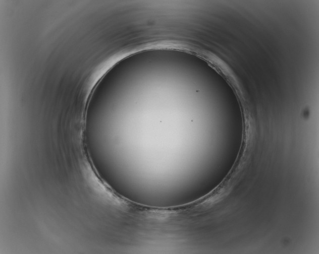 X0000116770860200912171532