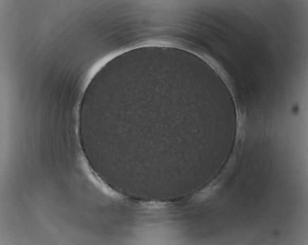 X0000116770862200912171532