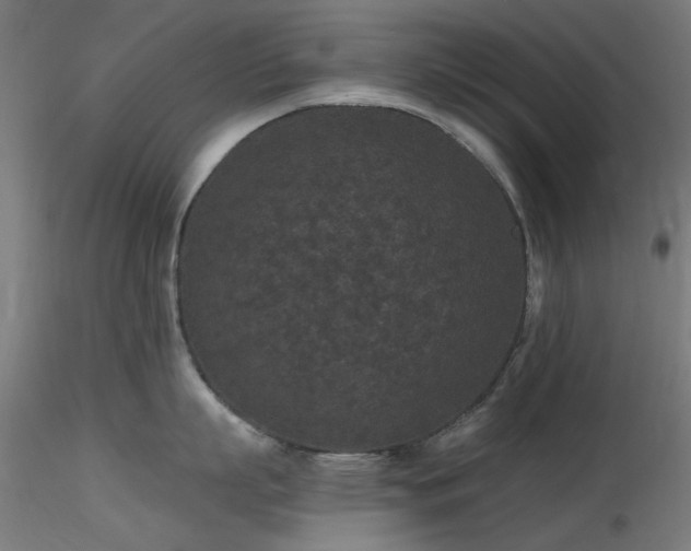 X0000116770863200912171532