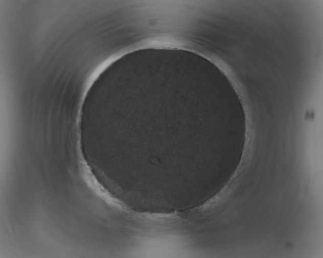 X0000116770864200912171532