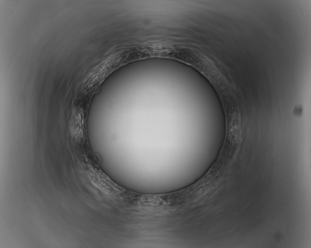X0000116770866200912171531