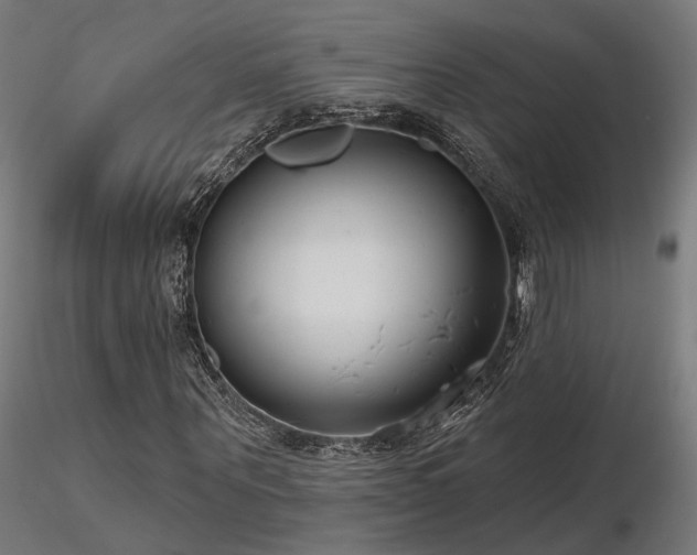 X0000116770867200912171531