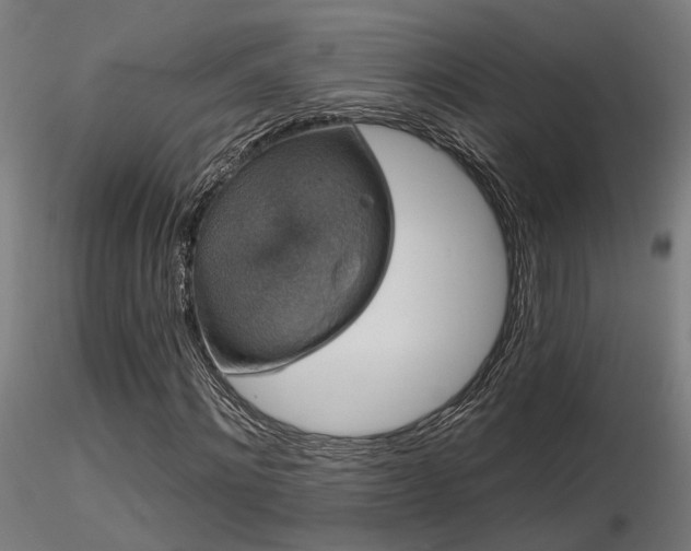 X0000116770868200912171531