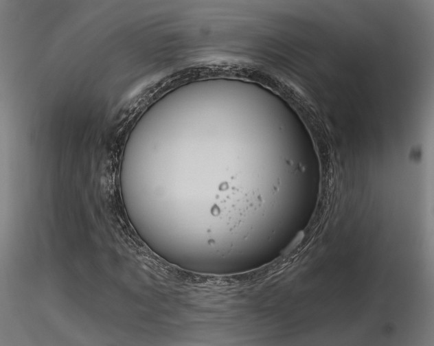 X0000116770869200912171531