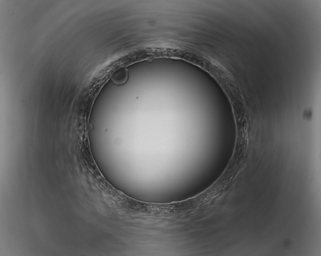 X0000116770870200912171531