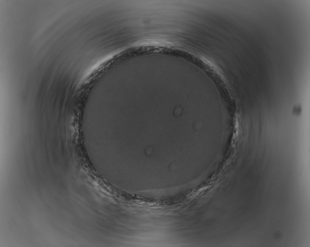 X0000116770872200912171531