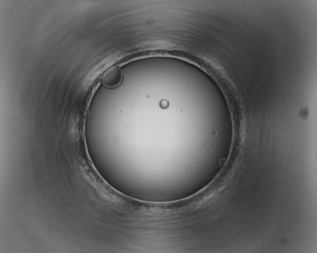 X0000116770873200912171531
