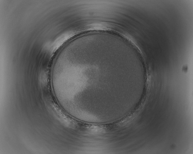 X0000116770874200912171531
