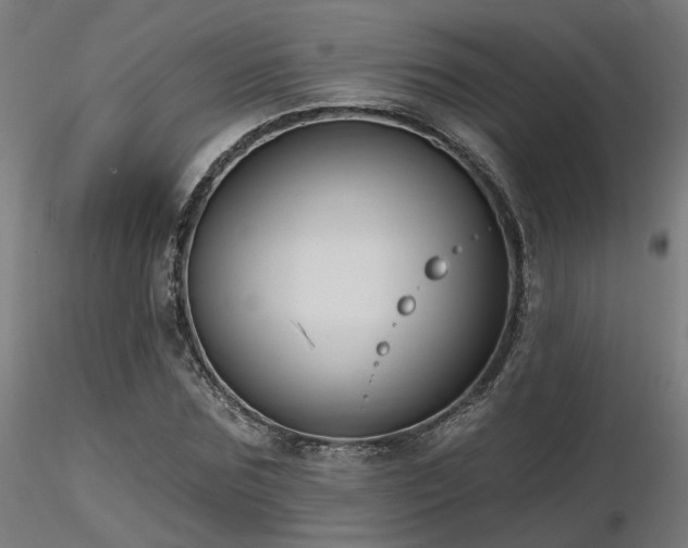 X0000116770875200912171531