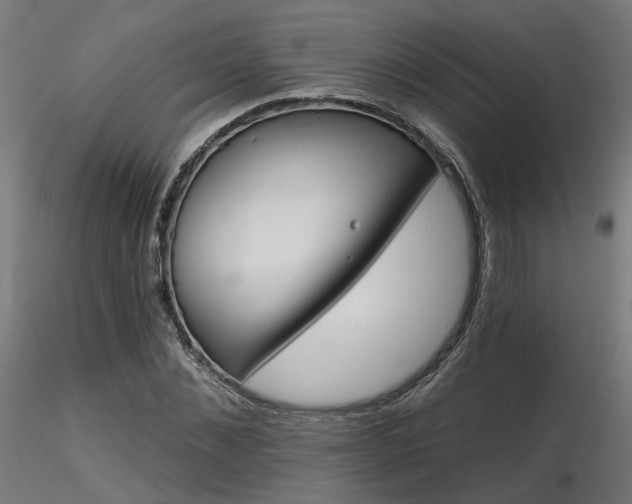 X0000116770876200912171531