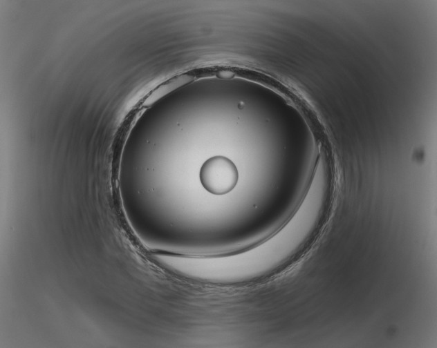 X0000116770877200912171531