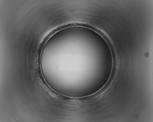X0000116770878200912171531