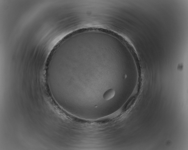 X0000116770879200912171531