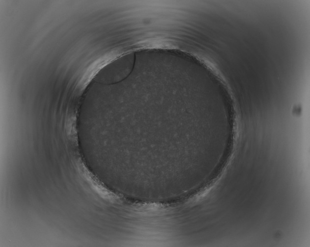 X0000116770881200912171531