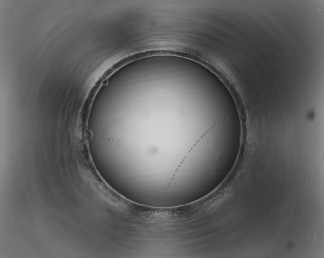 X0000116770883200912171531