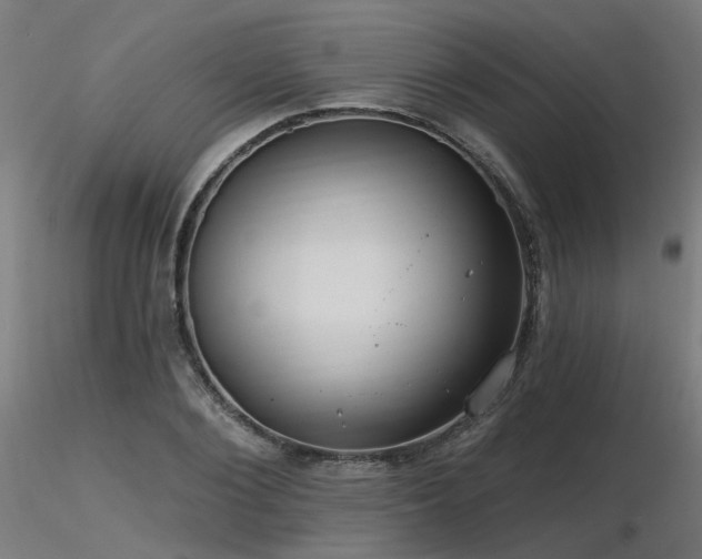 X0000116770884200912171531