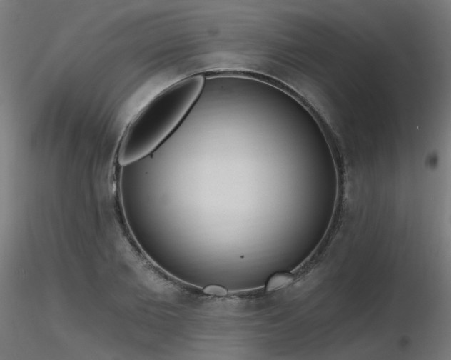 X0000116770885200912171531
