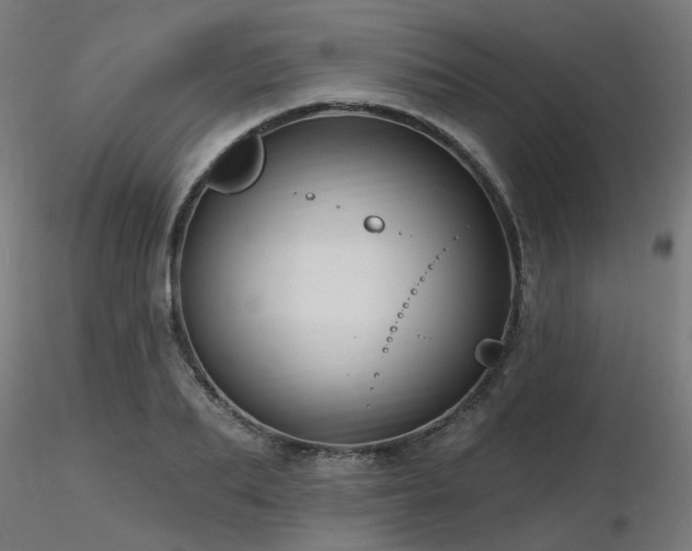 X0000116770887200912171531