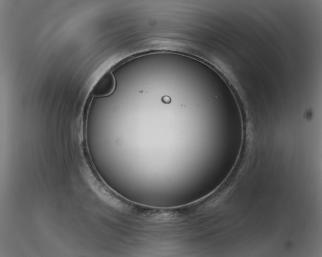 X0000116770891200912171531