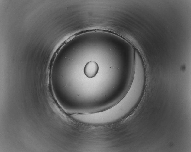 X0000116770892200912171531