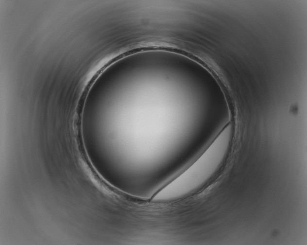X0000116770893200912171531