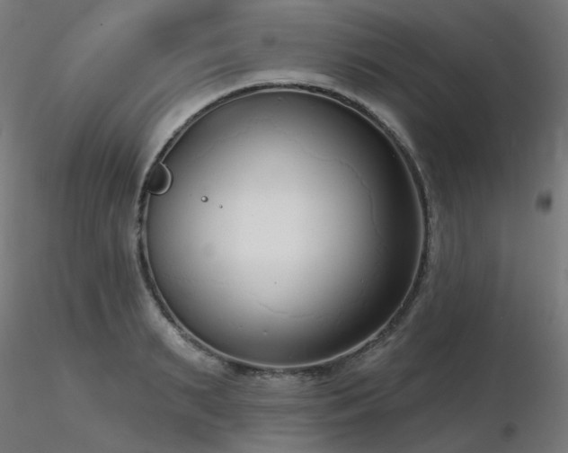 X0000116770895200912171530