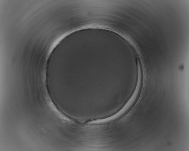 X0000116770896200912171530