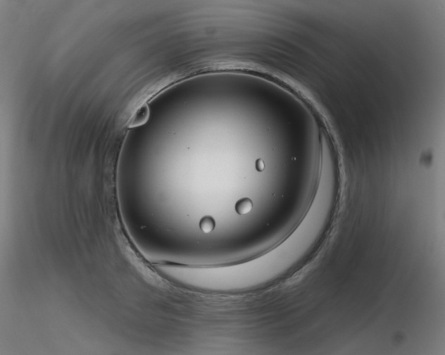 X0000116770897200912171530