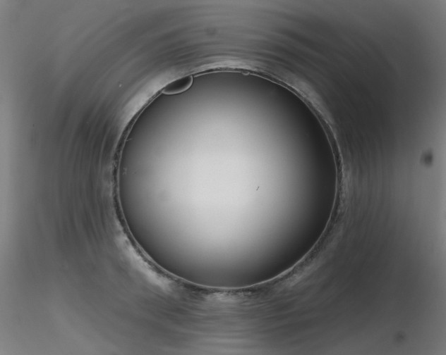 X0000116770898200912171530